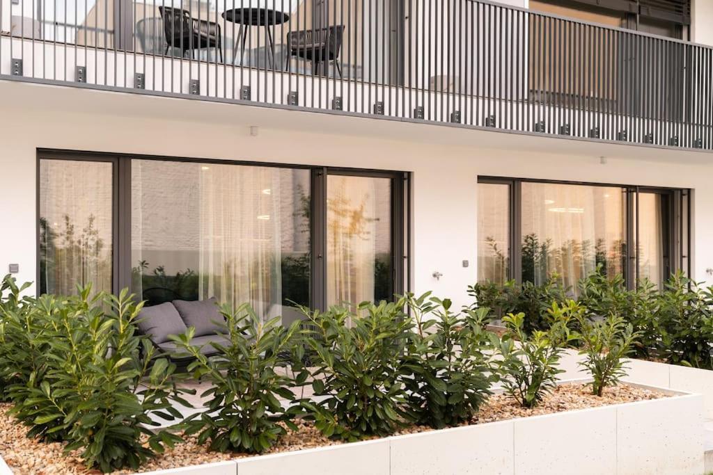 Green Garden Sauna Apartment 布尔诺 外观 照片
